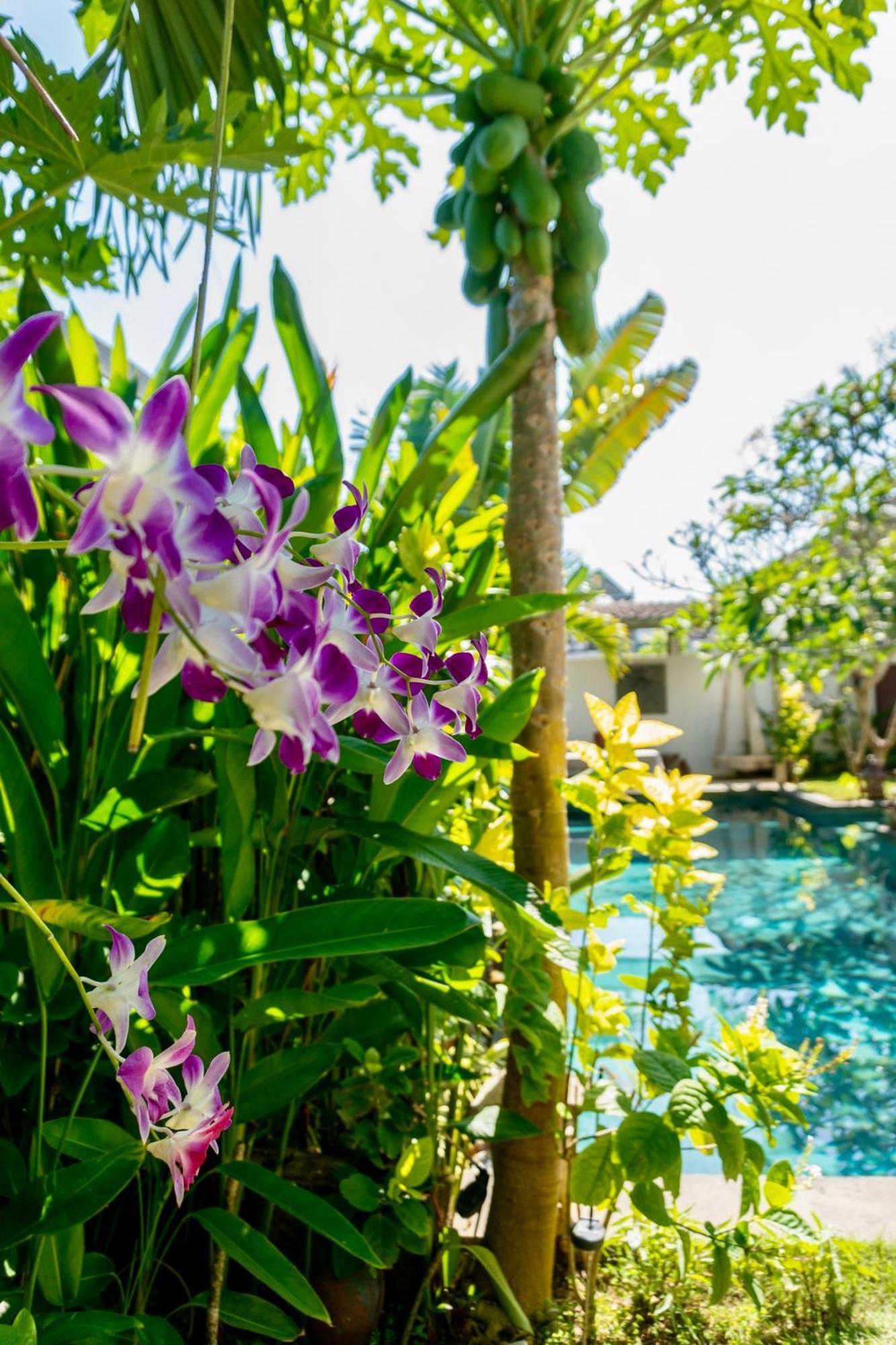 Hotel Damai Uluwatu Extérieur photo
